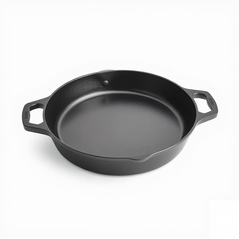 Lodge 10.25 Inch Cast Iron Skillet
