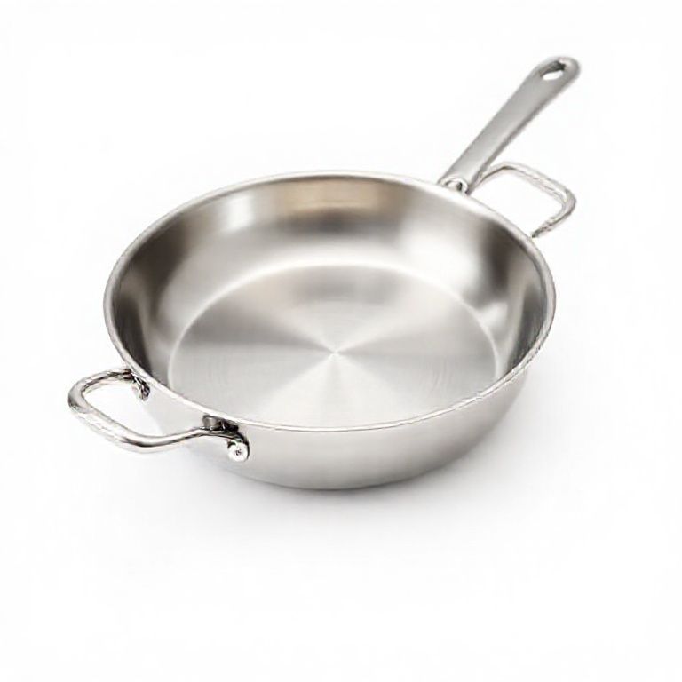 Stainless Steel Pan