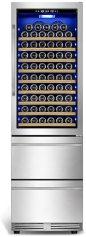 Tylza Wine and Beverage Refrigerator, 24'' Dual Zone Wine Fridge