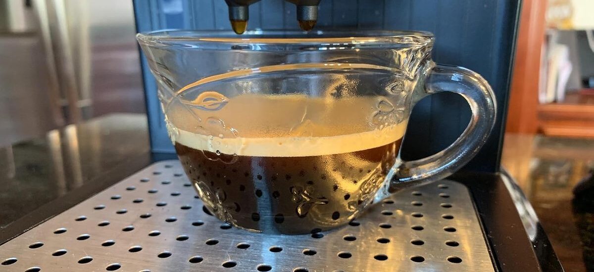DeLonghi EC155 15 Bar Espresso and Cappuccino Maker Review: Is It Worth It?