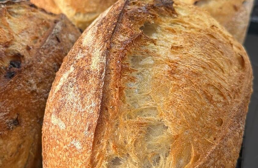 Fibrament-D Baking Stone 14×16 Review: Is It Worth It?