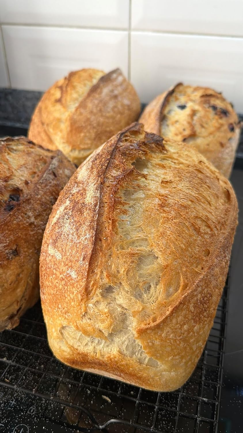 Fibrament-D Baking Stone 14×16 Review: Is It Worth It?