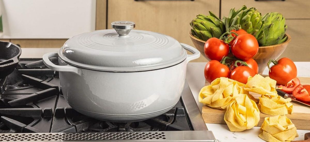 Lodge 6 Quart Enameled Cast Iron Dutch Oven Review: Is It Worth It?