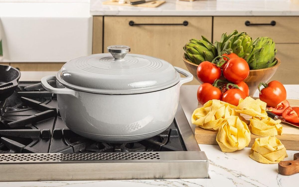 Lodge 6 Quart Enameled Cast Iron Dutch Oven Review: Is It Worth It?