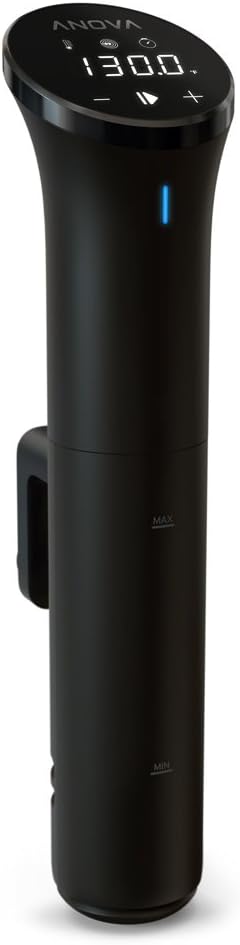 Sous Vide Immersion Circulator