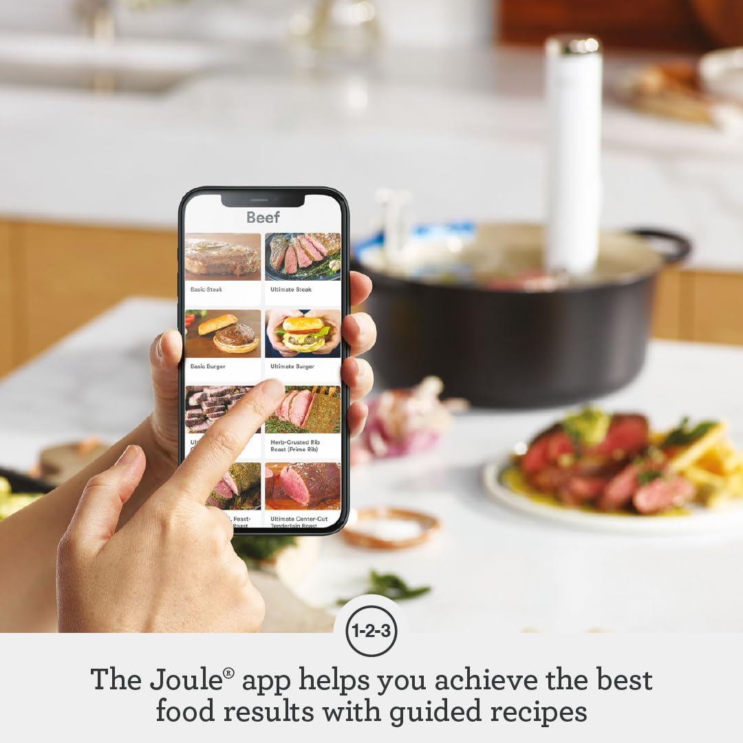  Joule Sous Vide — perfect for family meals